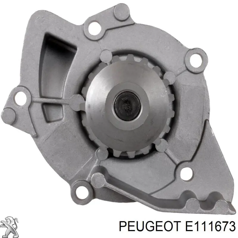 Помпа E111673 Peugeot/Citroen