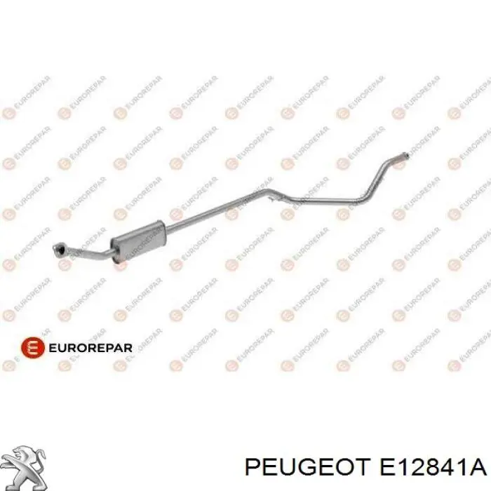E12841A Peugeot/Citroen 