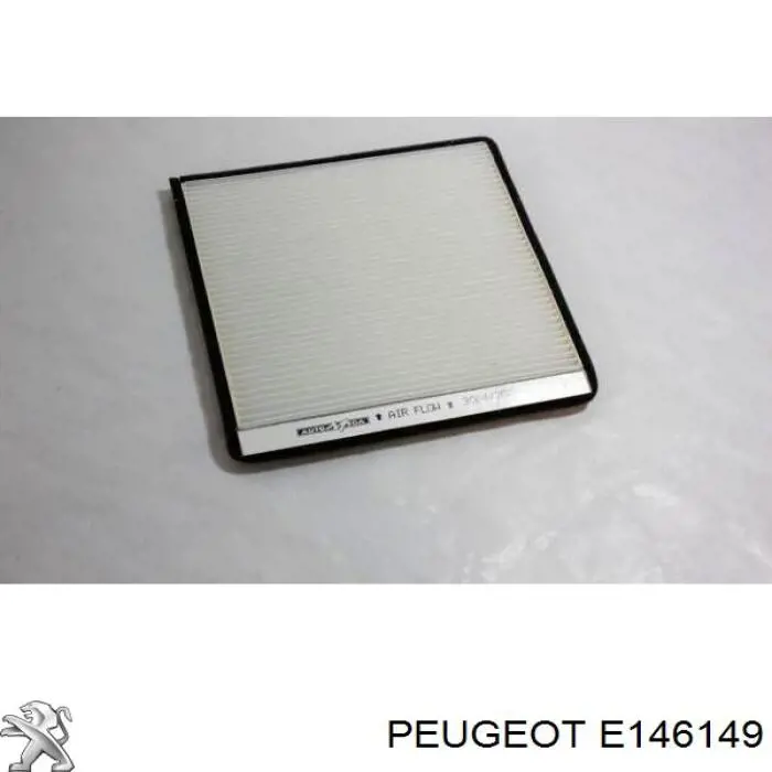 Filtro de habitáculo E146149 Peugeot/Citroen