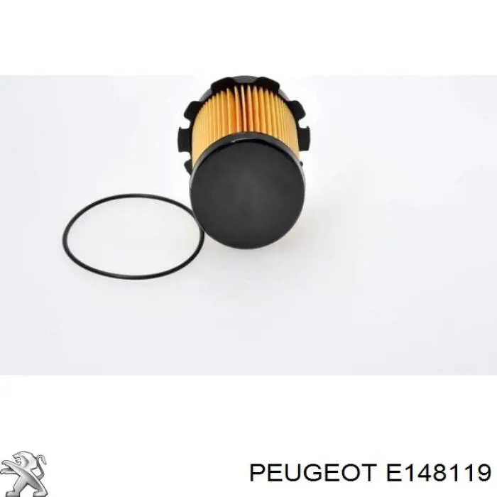 Фильтр топливный Peugeot/Citroen E148119