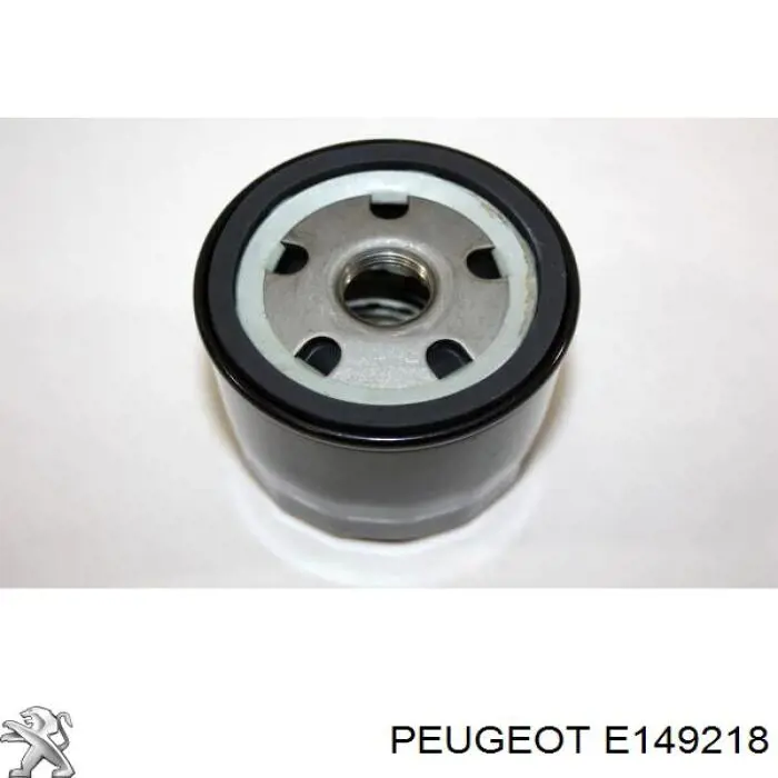 E149218 Peugeot/Citroen 