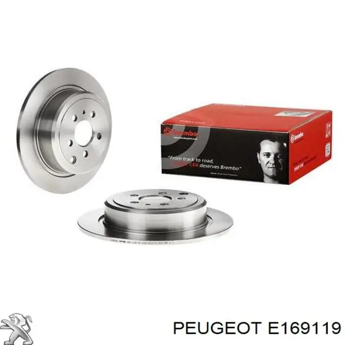 Disco de freno trasero E169119 Peugeot/Citroen