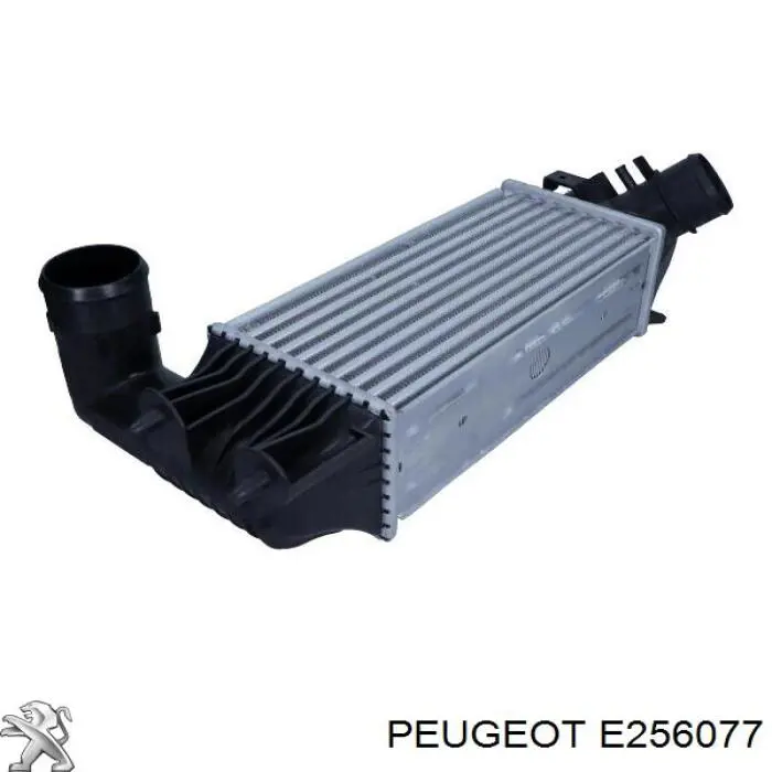 Radiador de aire de admisión E256077 Peugeot/Citroen
