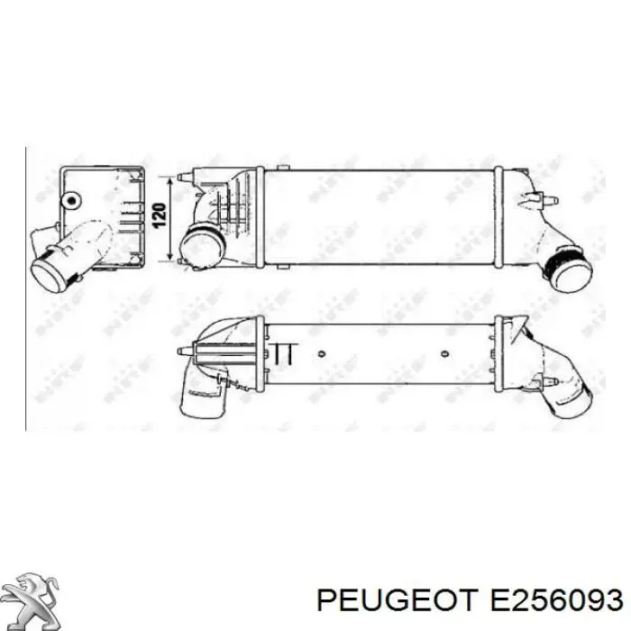 E256093 Peugeot/Citroen интеркулер