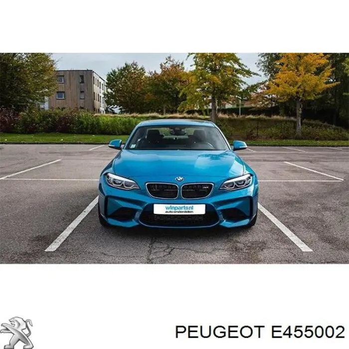 E455002 Peugeot/Citroen 