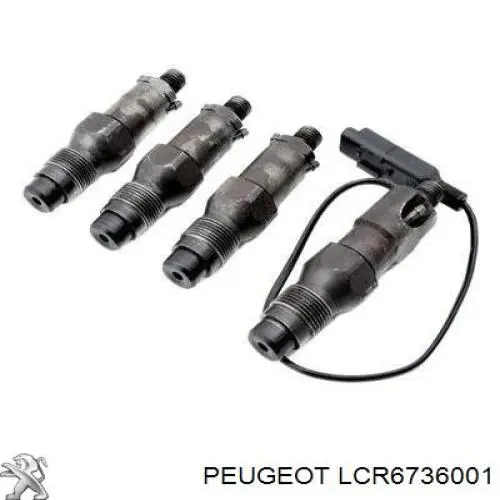 LCR6736001 Peugeot/Citroen injetor de injeção de combustível