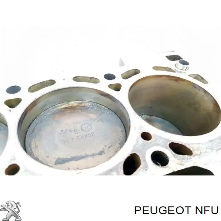 Motor montado Peugeot Partner Tepee 