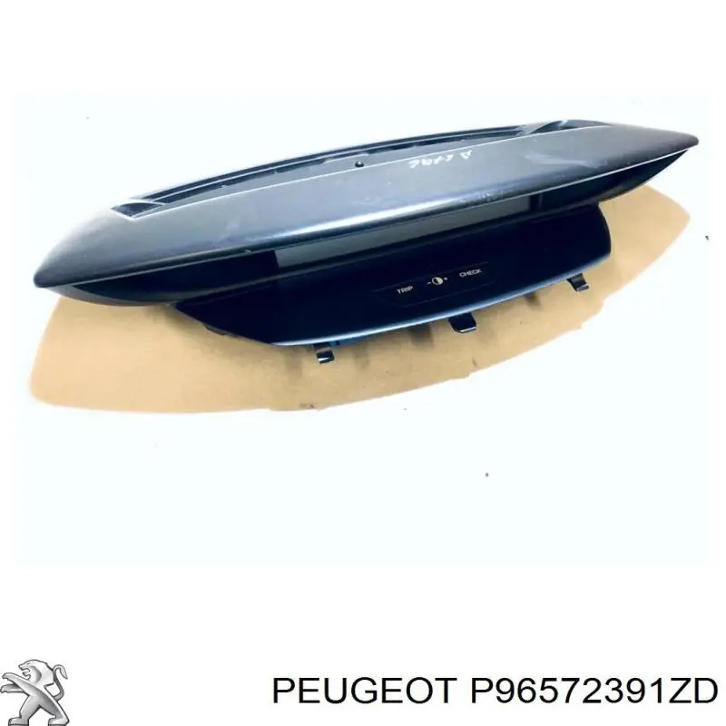  Peugeot/Citroen P96572391ZD