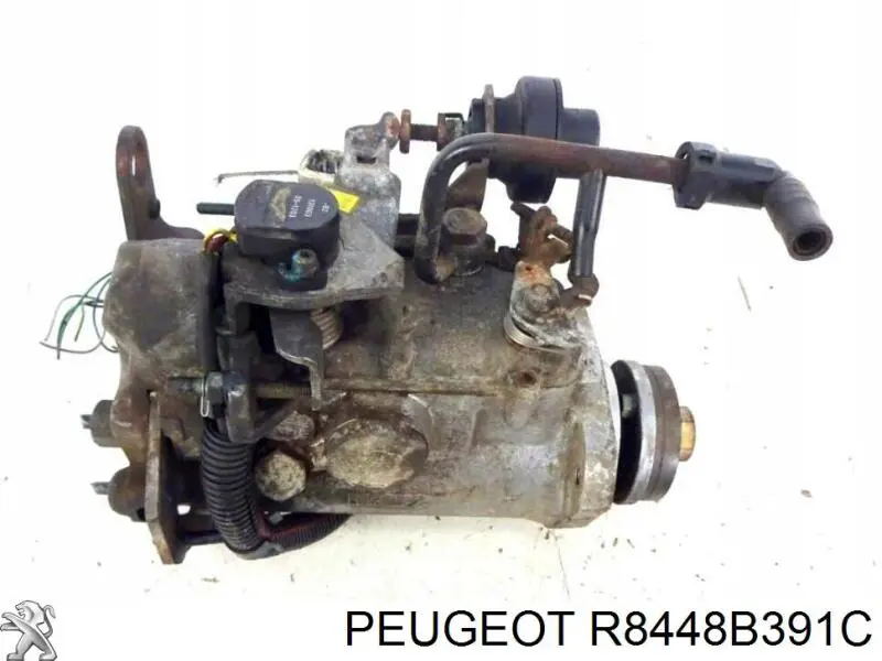 R8448B391C Peugeot/Citroen 