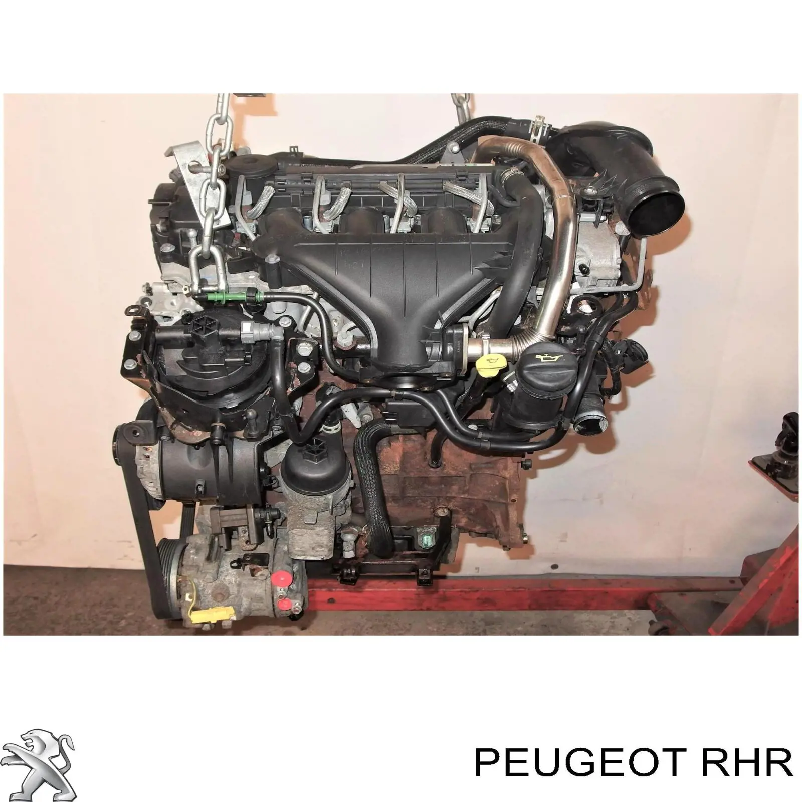 Motor montado Fiat Scudo  270