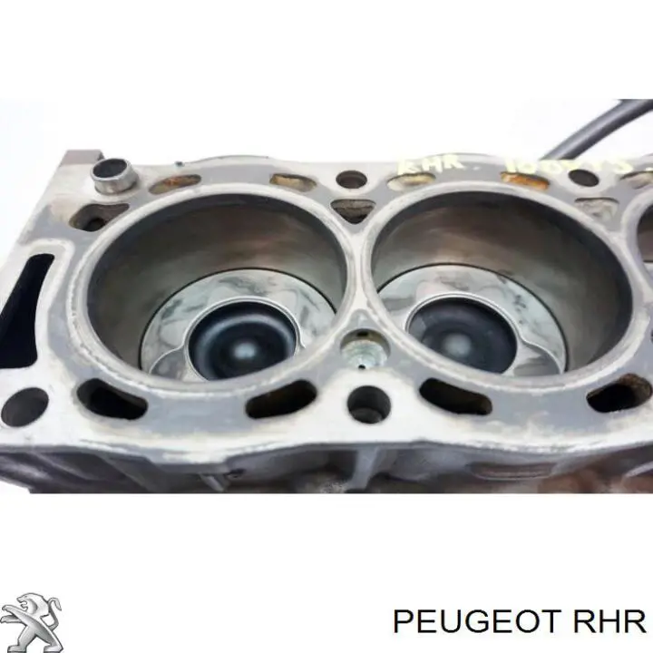 Motor montado Fiat Scudo  270