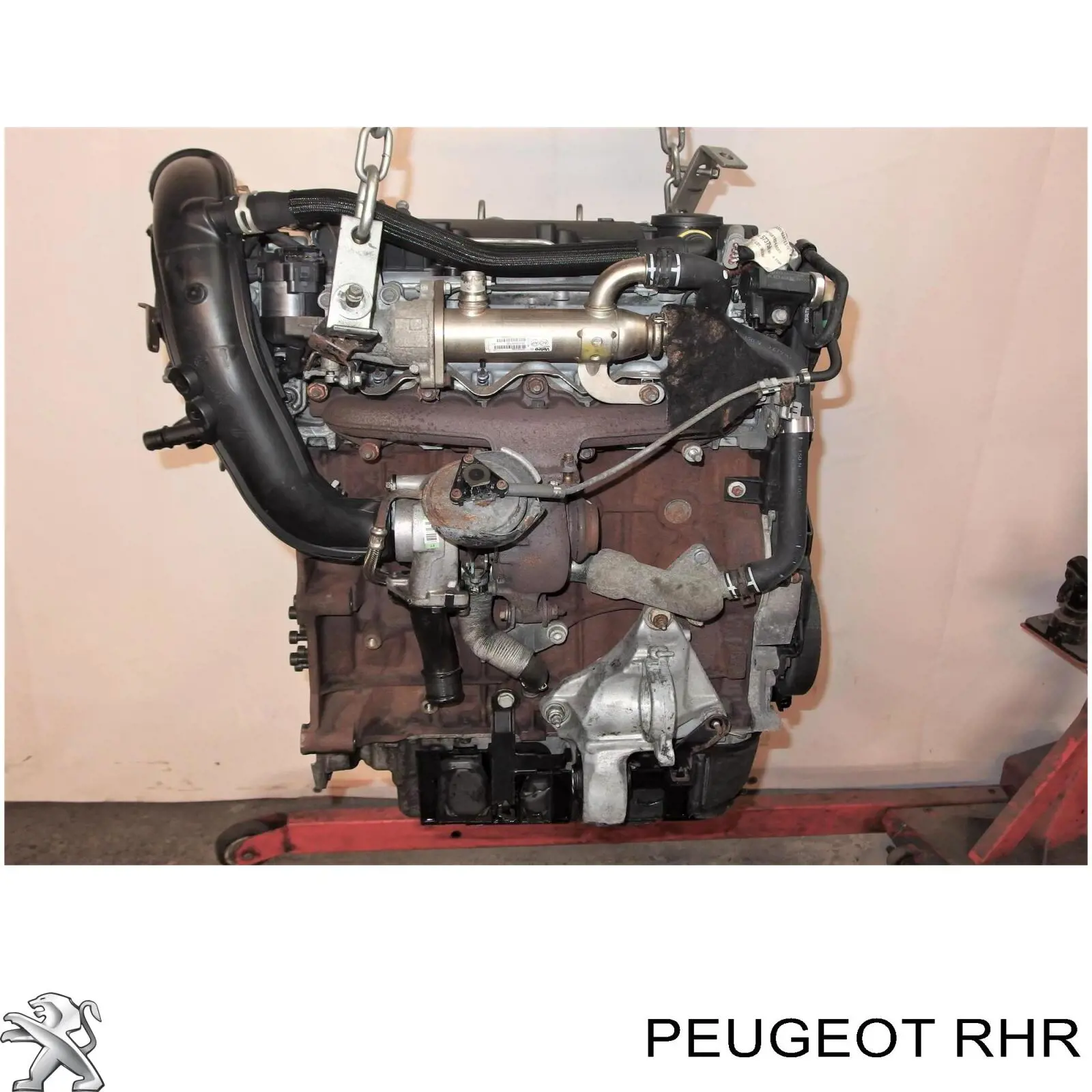 Motor montado para Fiat Scudo  270