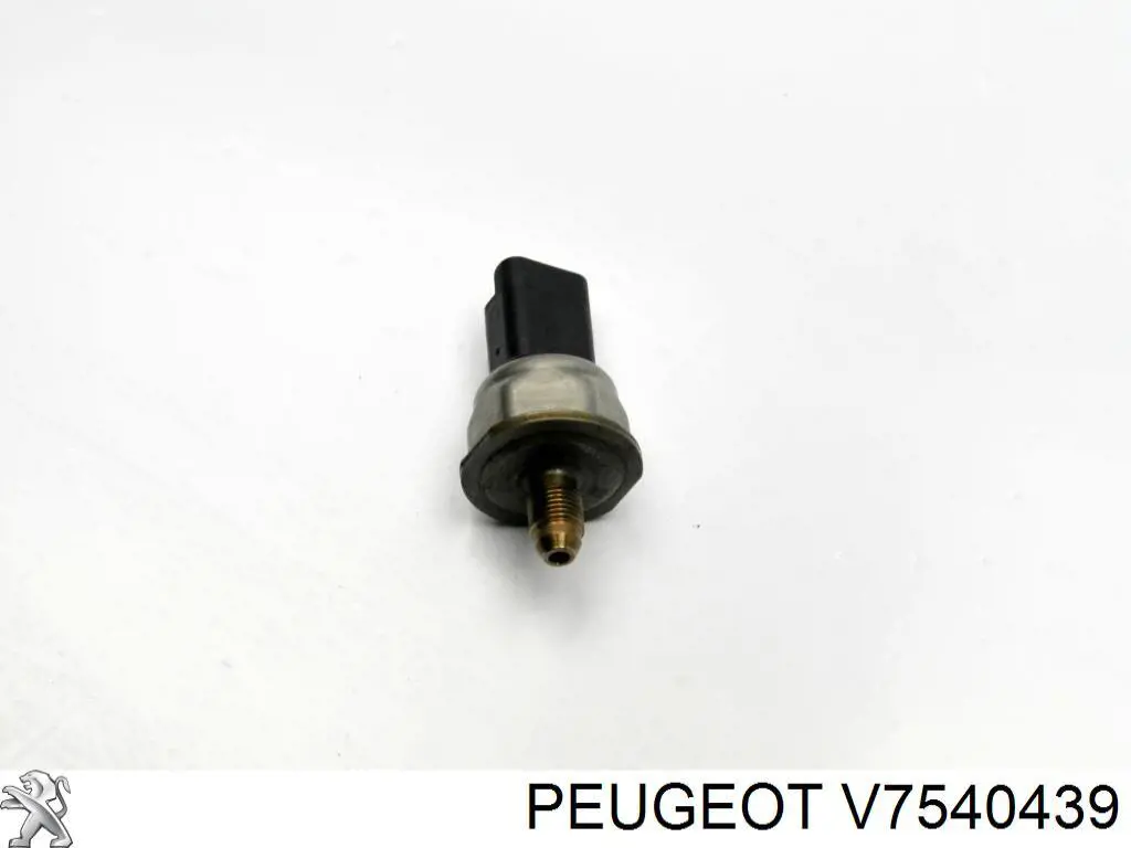 V7540439 Peugeot/Citroen 