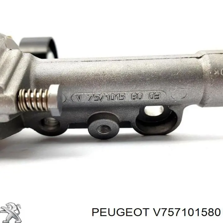  V757101580 Peugeot/Citroen