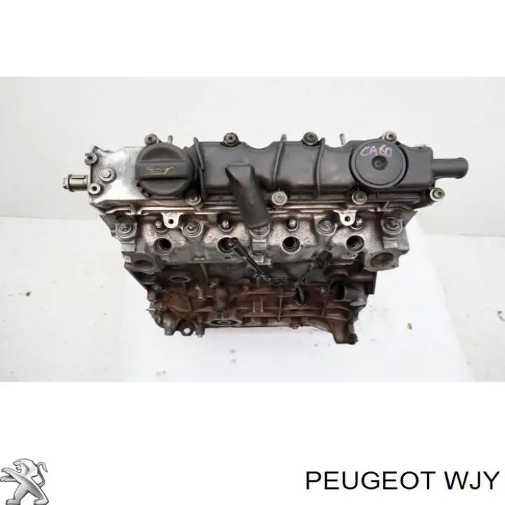 WJY Peugeot/Citroen motor montado