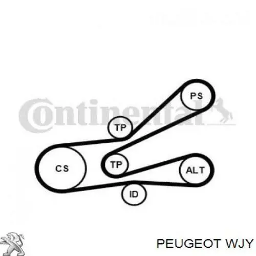WJY Peugeot/Citroen Мотор в сборе