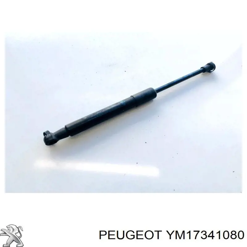 Амортизатор капота газовый Lesjofors 8066705 цена, от 14.77 USD