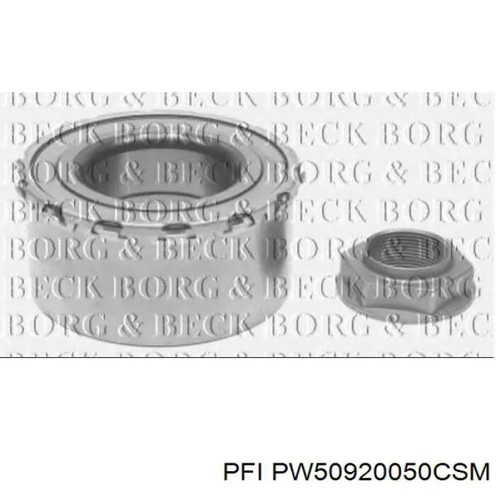 Купить PW50920050CSM PFI Подшипник ступицы передней/задней
