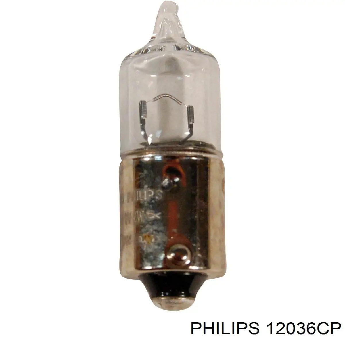 12036CP Philips