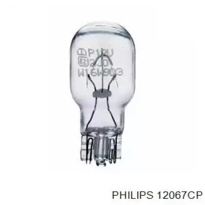 Купить 12067CP Philips Лампочка