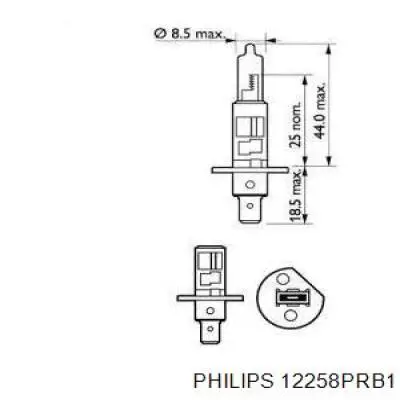 Лампочка галогенная Philips 12258PRB1