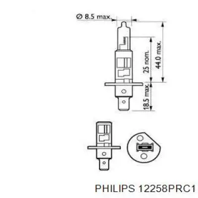 Лампочка галогенная 12258PRC1 Philips