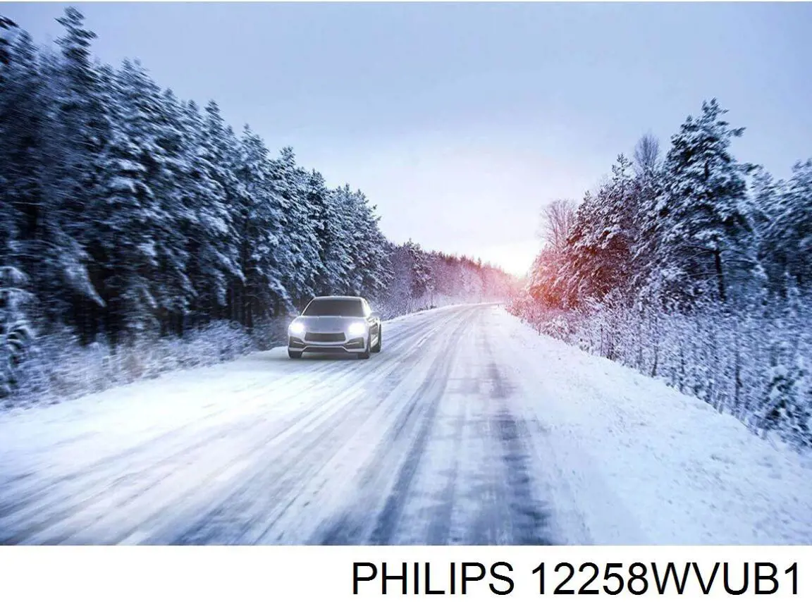 12258WVUB1 Philips lâmpada halógena