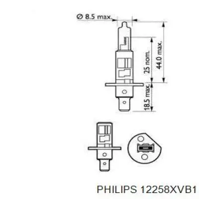 Лампочка ближнего света Philips 12258XVB1 цена, от 2.09 USD