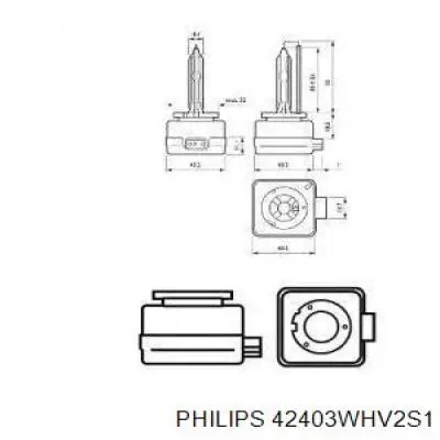Купить 42403WHV2S1 Philips Лампочка ксеноновая