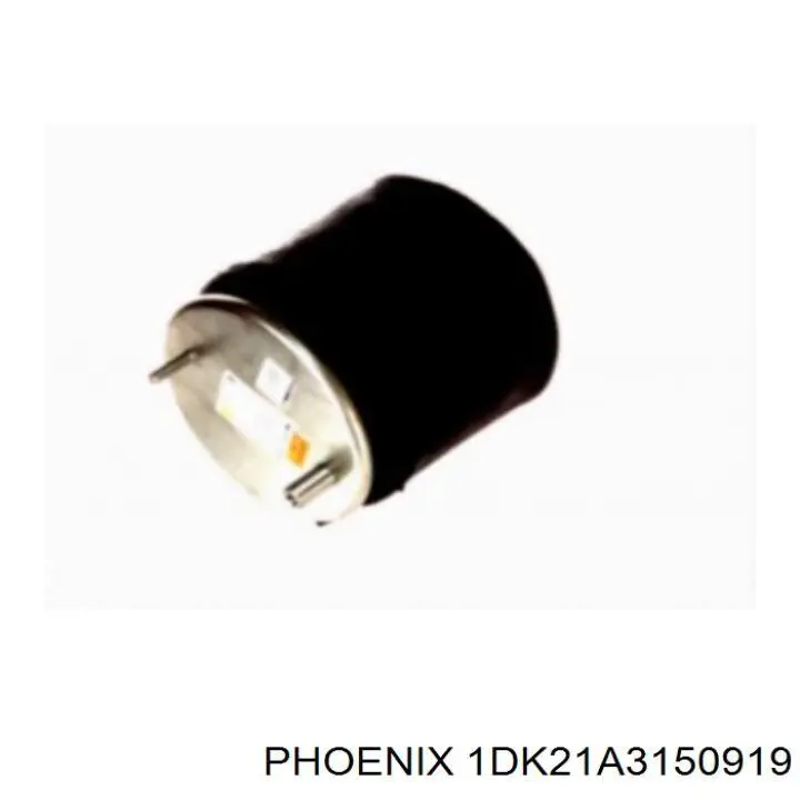  1DK21A3150919 Phoenix