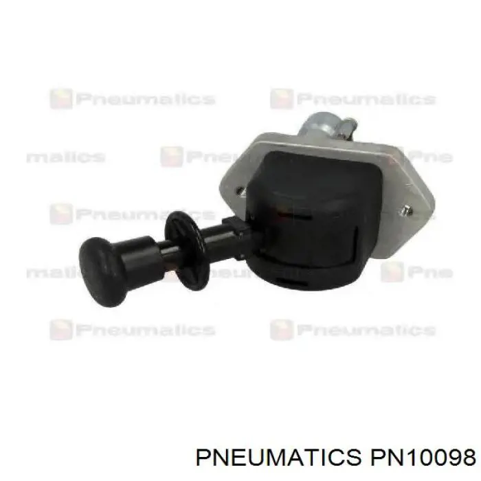 Купить PN10098 Pneumatics 