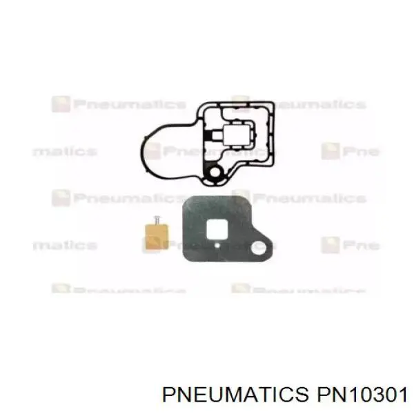 PN10301 Pneumatics ремкомплект цилиндра переключения кпп