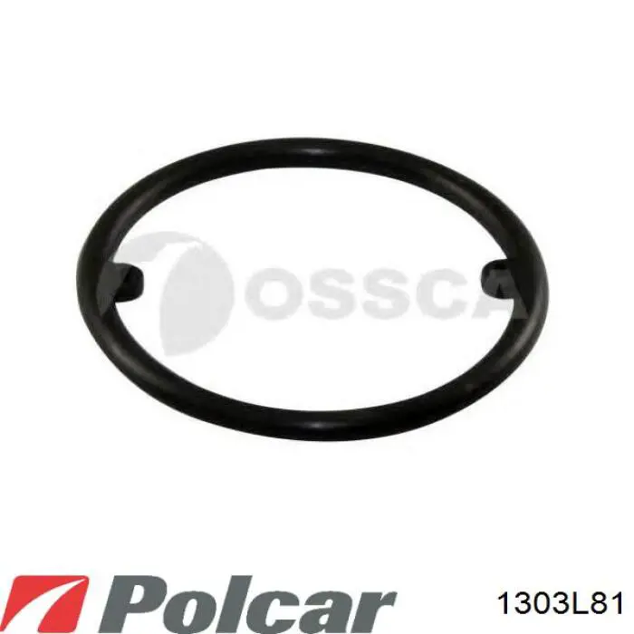 Купить 1303L81 Polcar Радиатор масляный (холодильник), под фильтром