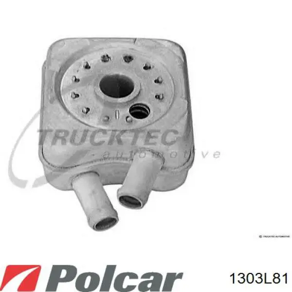 1303L81 Polcar