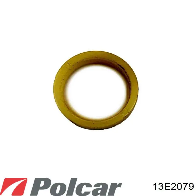  13E2079 Polcar