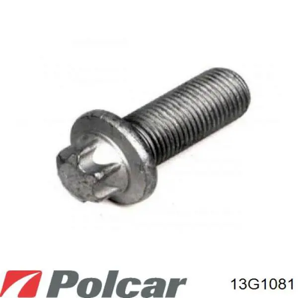 13G1081 Polcar 