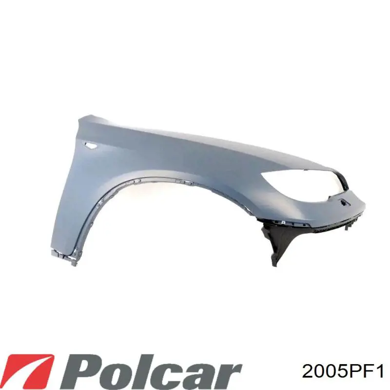  2005PF1 Polcar