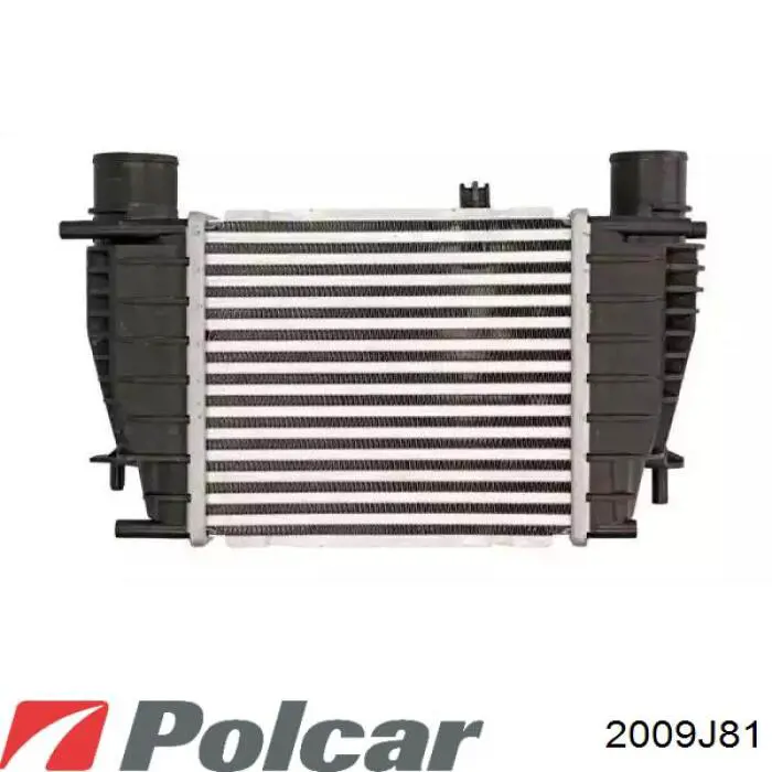 Интеркулер 2009J81 Polcar