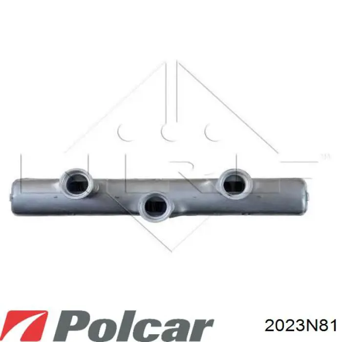 2023N81 Polcar