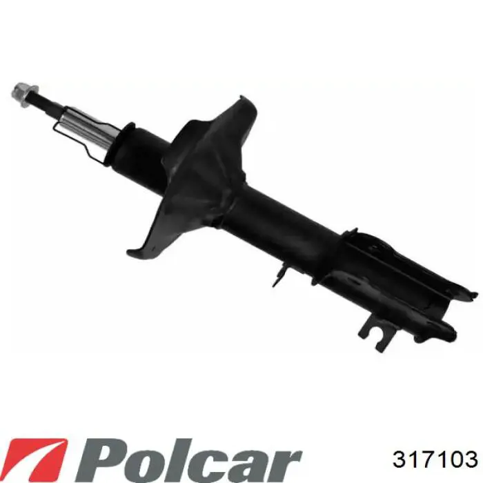  317103 Polcar