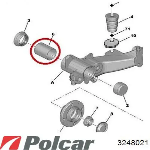 Guardabarros delantero derecho 3248021 Polcar