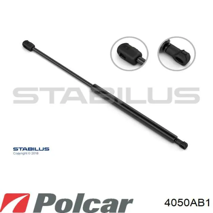 Амортизатор задней двери Polcar 4050AB1 цена, от 8.87 USD