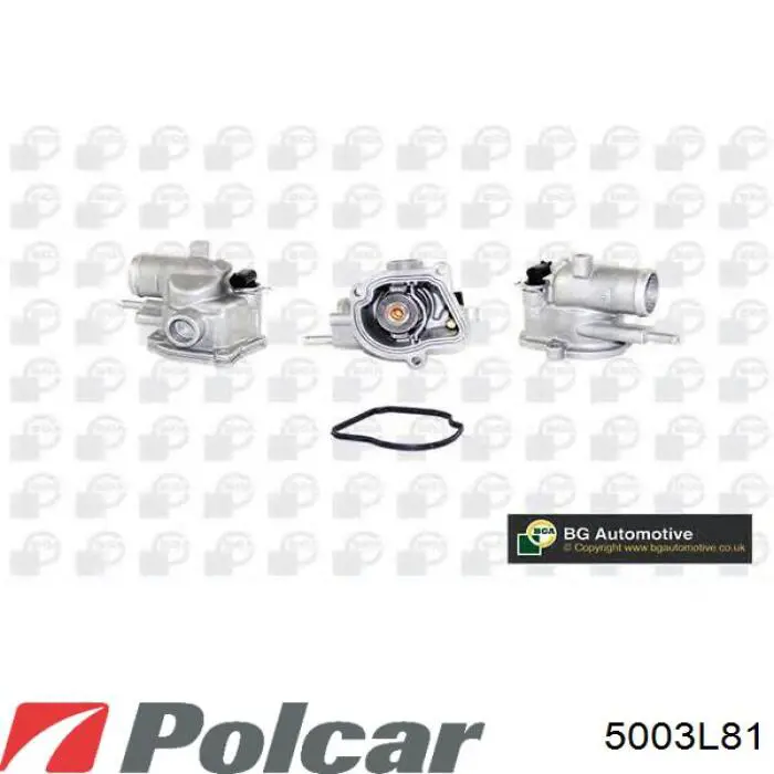 Масляный радиатор АКПП Polcar 5003L81 цена, от 17.30 USD