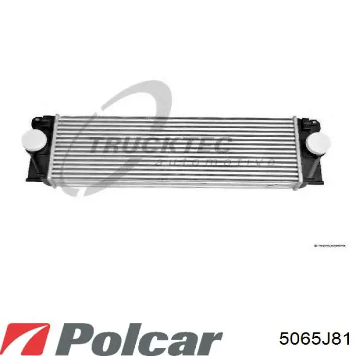 5065J81 Polcar