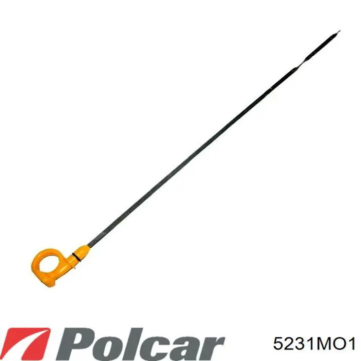 5231MO1 Polcar