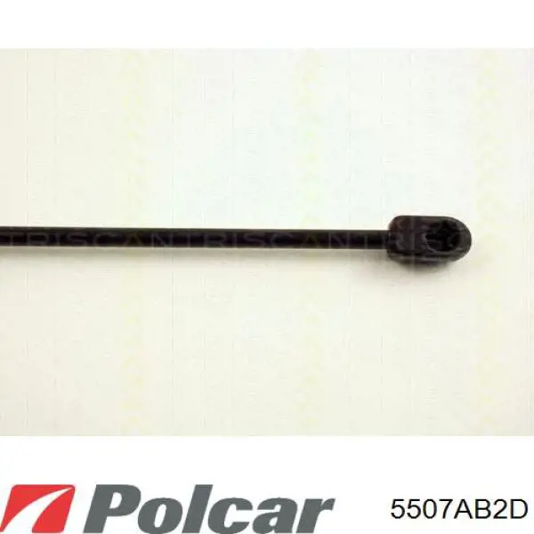 Купить 5507AB2D Polcar Амортизатор двери багажника