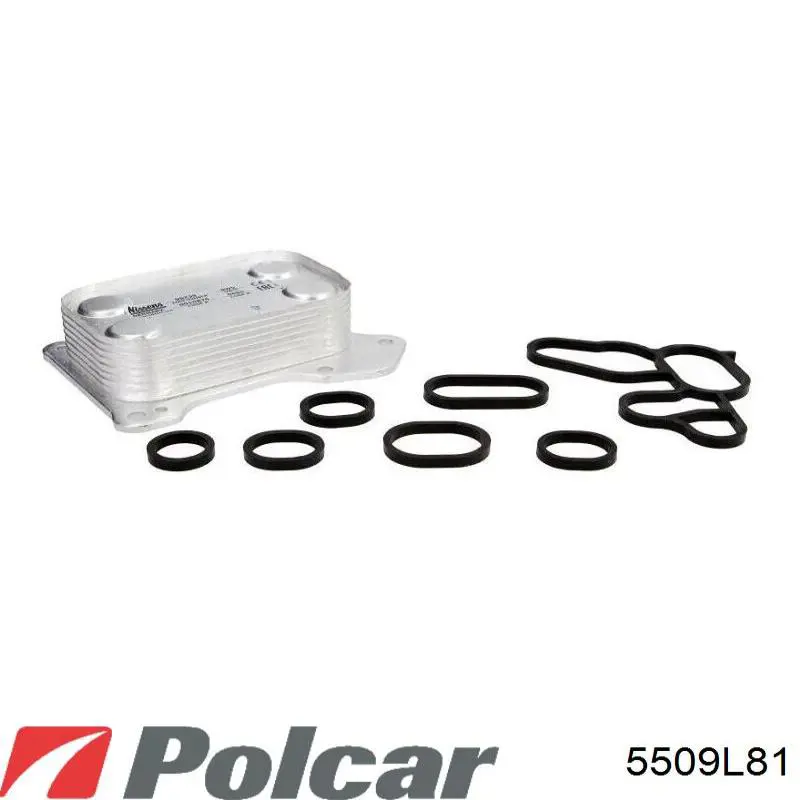 Radiador de aceite 5509L81 Polcar