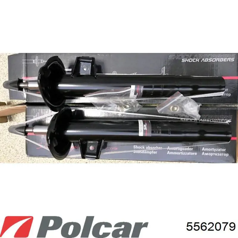 5562079 Polcar 