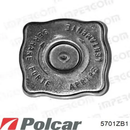 Бачок системы охлаждения 4431399 Fiat/Alfa/Lancia