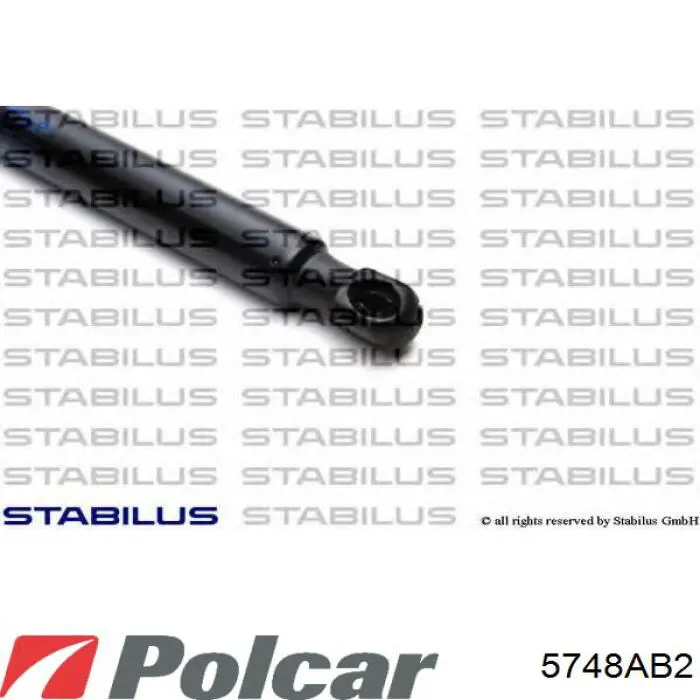 Амортизатор стекла багажника (двери 3/5-й задней (ляды) Polcar 5748AB2 цена, от 13.30 USD